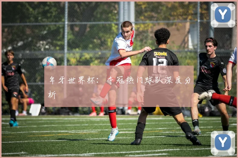 年牙世界杯:夺冠热门球队深度分析