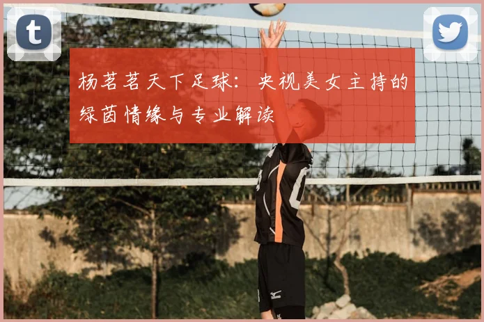 杨茗茗天下足球:央视美女主持的绿茵情缘与专业解读